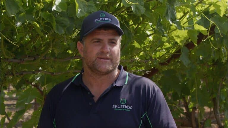 Grape grower Fruitico uses ABCspray and ABCgrow