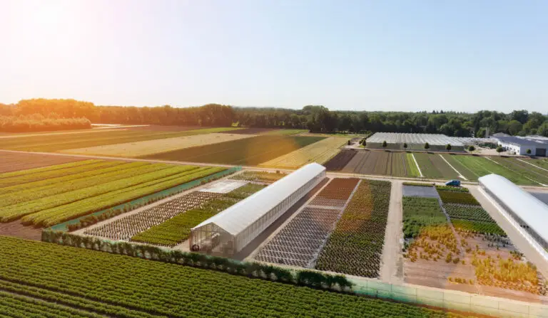 web-view-of-fields-and-greenhouses-munich-bavaria-g-2026-03-10-03-53-35-utc