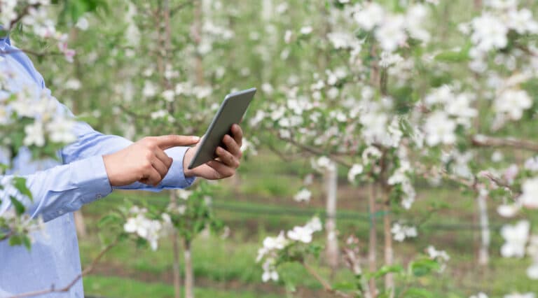 control-of-growth-and-blooming-of-plants-in-orchar-2026-03-24-02-26-16-utc