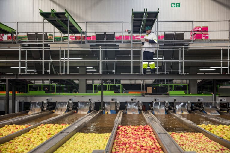 employee-monitoring-apple-sorting-process-at-food-2026-01-05-01-03-09-utc