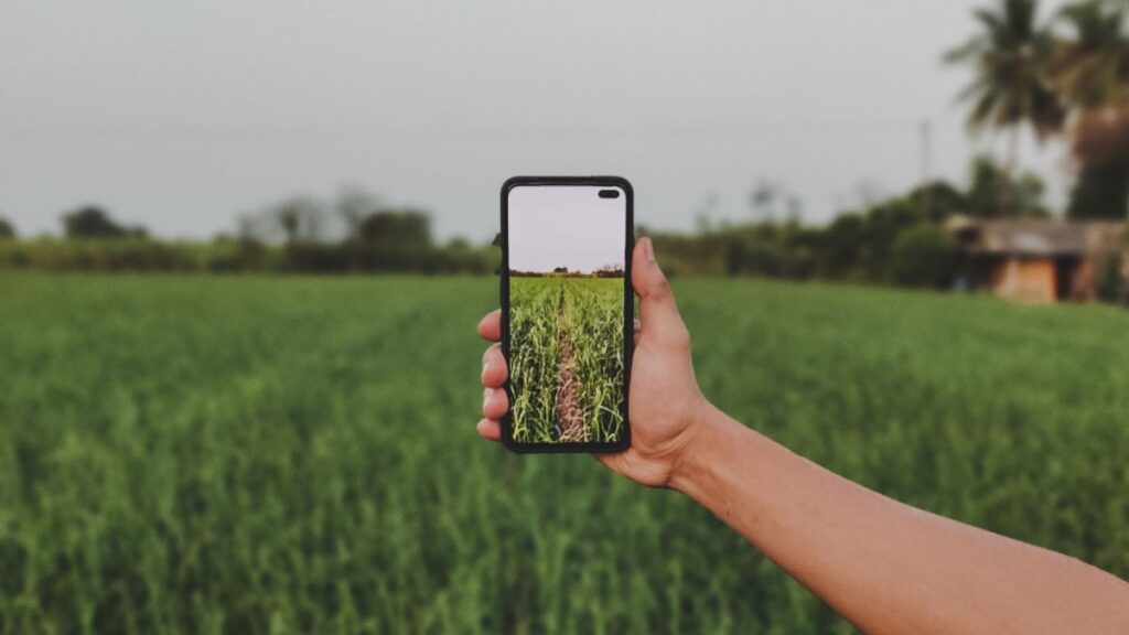 Person in a field holding a device